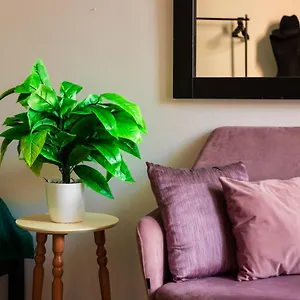 https://cane-apartments-2.hotels-in-tirana.com